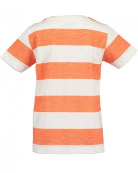 T-Shirt Wellenreiter 110
