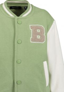 Collegejacke Wellenreiter 128