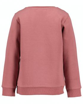 Sweater Pferd und Fohlen 104