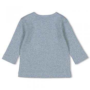 Longsleeve - A-Roarable 50