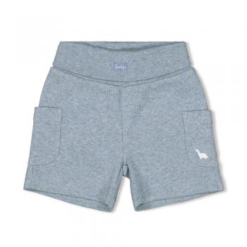 Short - A-Roarable 50