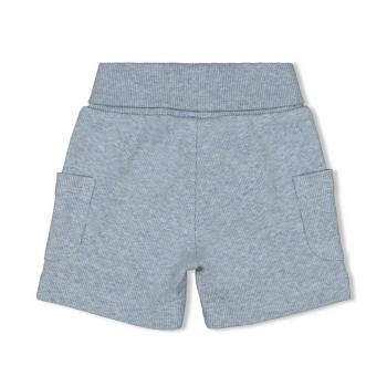 Short - A-Roarable 50