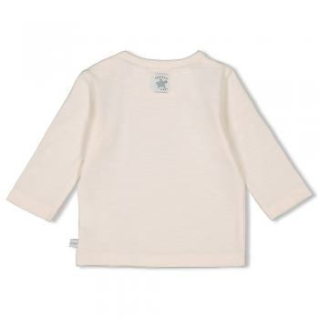Longsleeve - Turtelly Cool 62