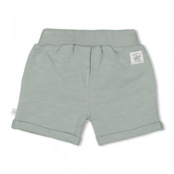 Short - Turtelly Cool 74