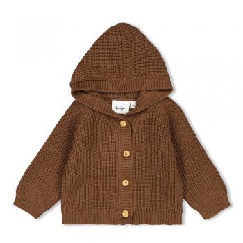 Strickjacke mit Kapuze - Tiny Roar 62