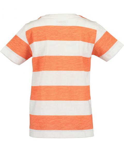 T-Shirt Wellenreiter 110