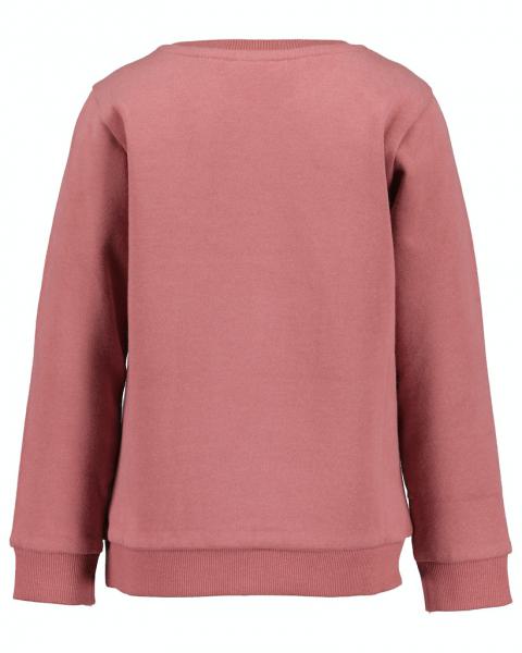 Sweater Pferd und Fohlen 104