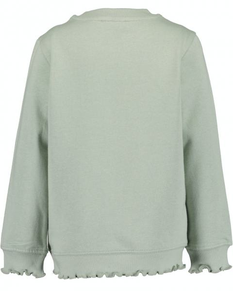 Sweater Blume mint 116