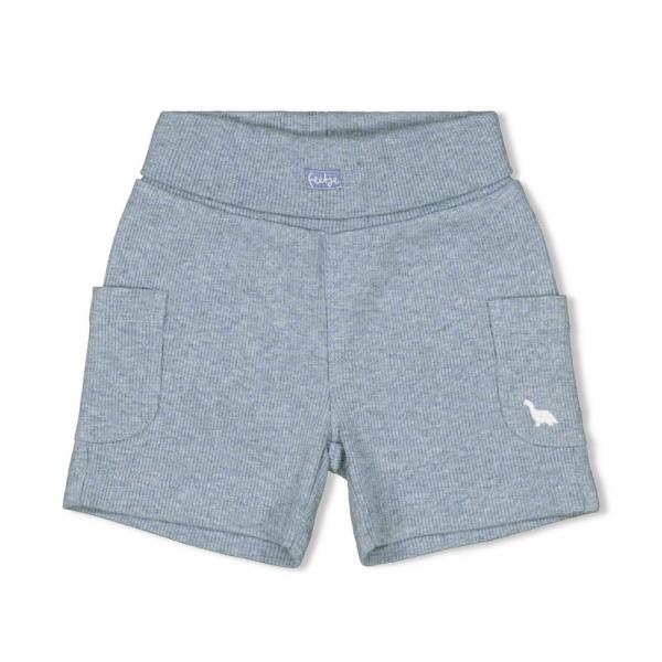 Short - A-Roarable 50