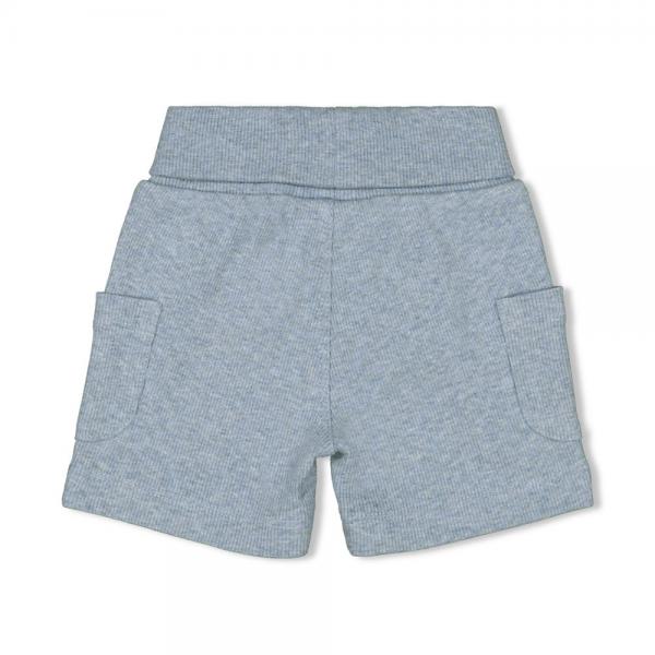 Short - A-Roarable 50