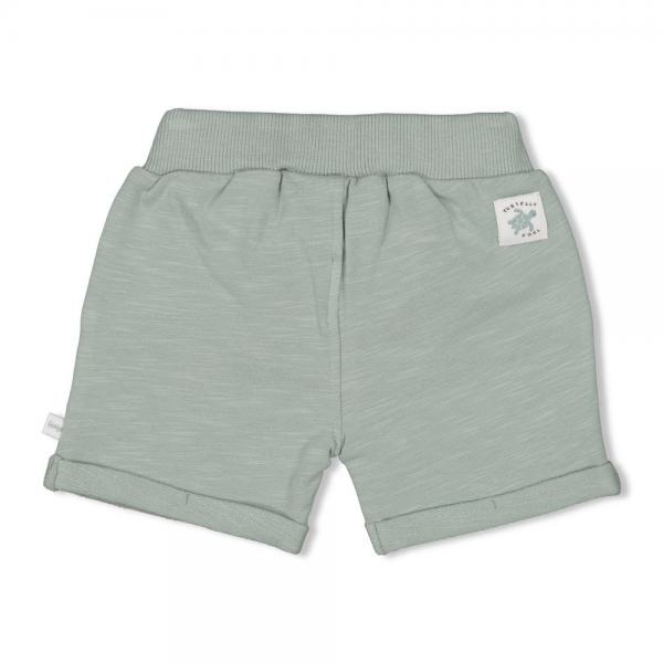 Short - Turtelly Cool 74