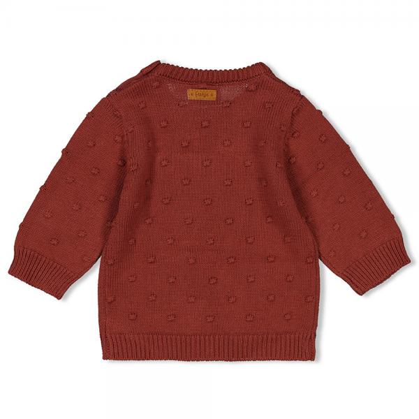 Sweater gestrickt - Grow Your Own Way 80